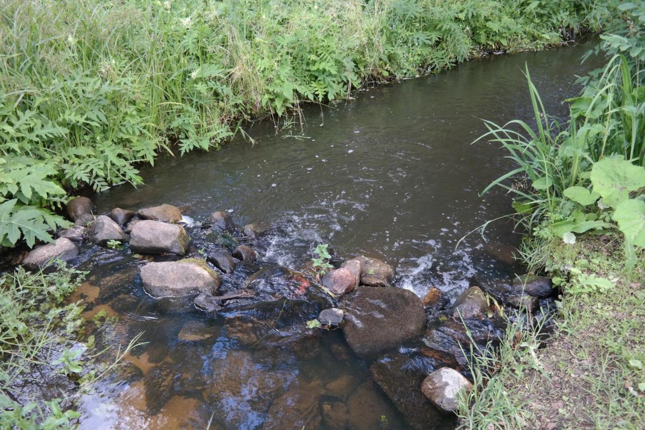 فيلا Latava Anykščiai المظهر الخارجي الصورة